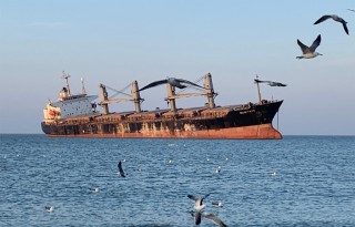 新增公廁！布魯維斯號周邊配套設(shè)施上新